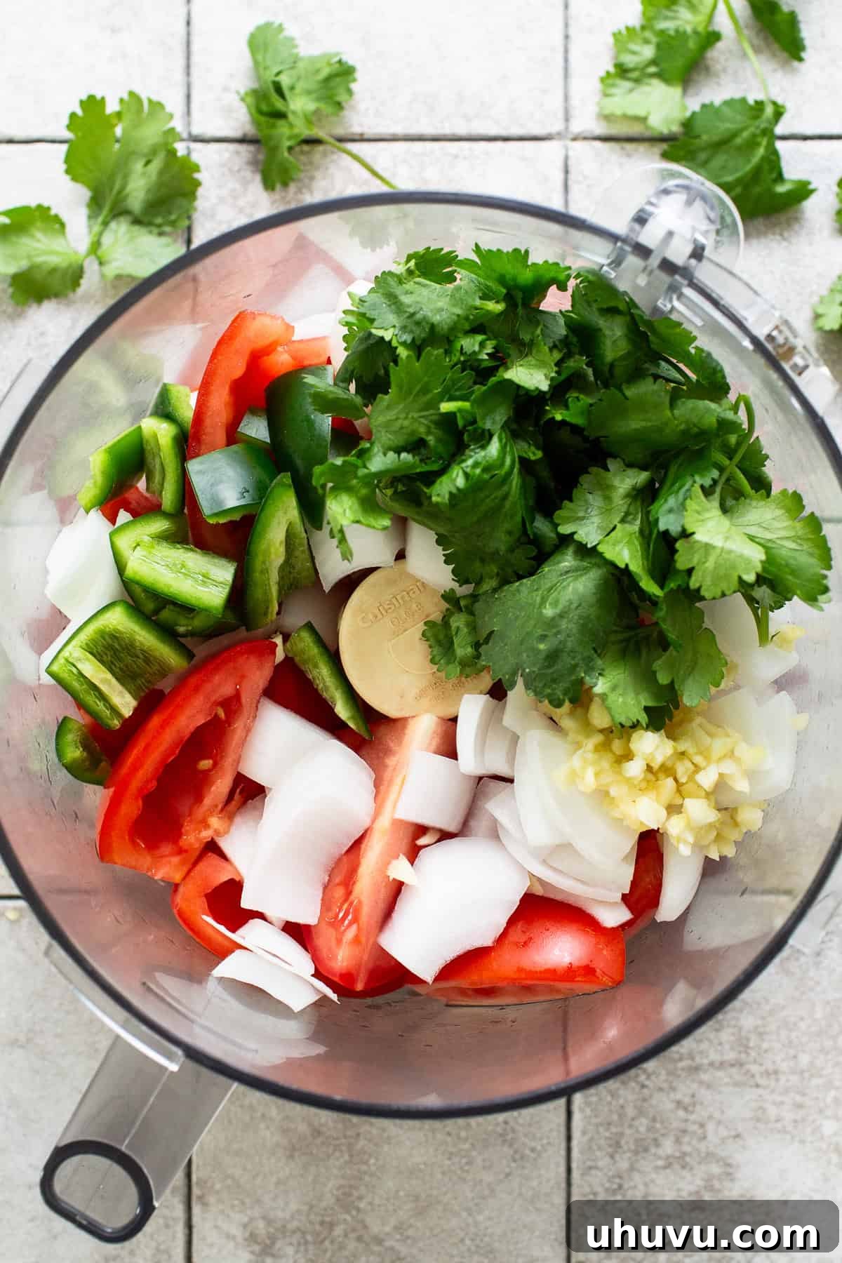 Salsa Bliss from Your Kitchen 4 All the fresh ingredients for homemade salsa—cilantro, quartered Roma tomatoes, chopped onions, minced garlic, a jalapeño pepper, and lime juice—are gathered inside a food processor, ready to be blended into a delicious dip.