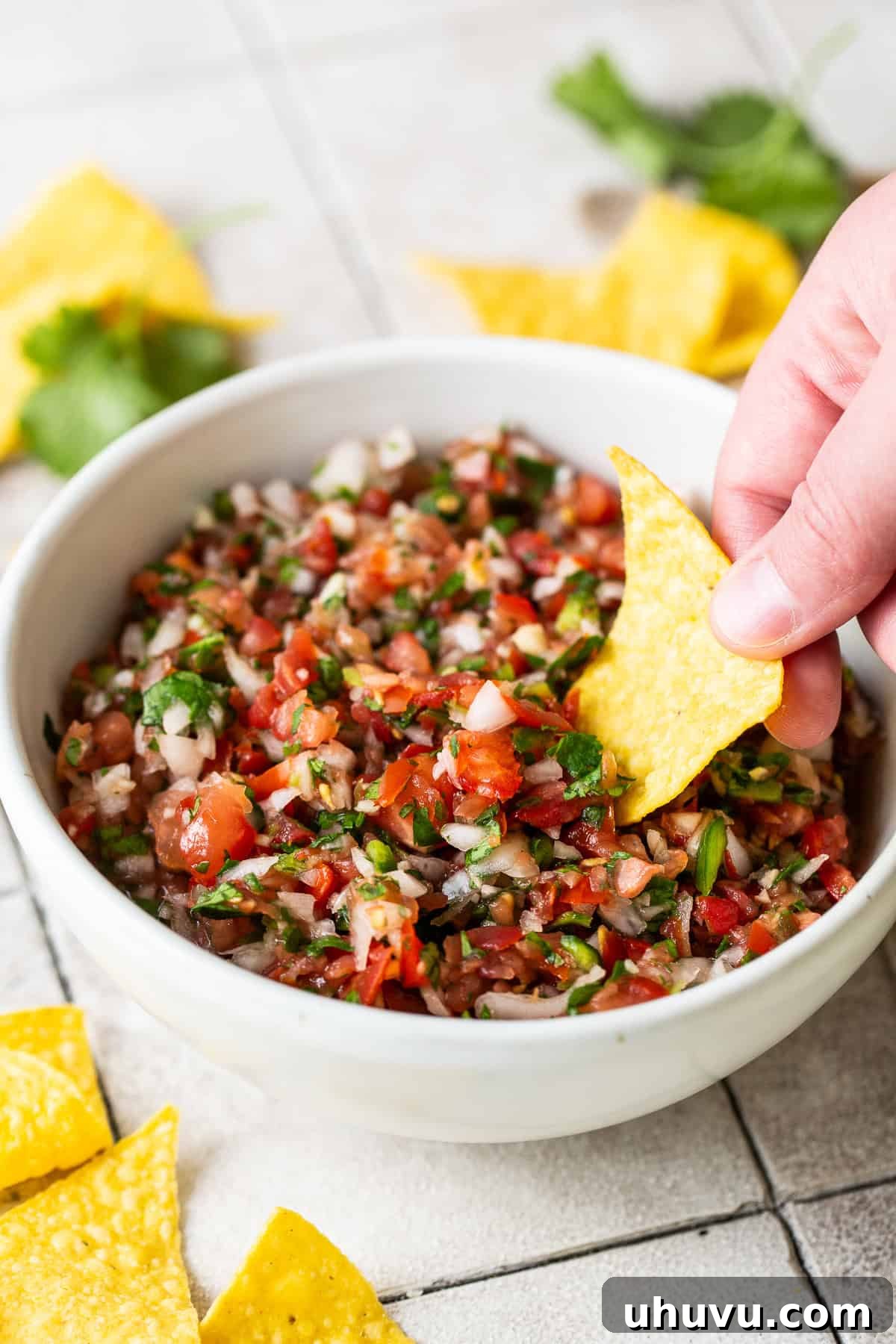 Salsa Bliss from Your Kitchen 6 A crisp tortilla chip is gracefully dipped into a pristine white bowl filled with freshly made, vibrant red homemade salsa, capturing a moment of anticipation and flavor.