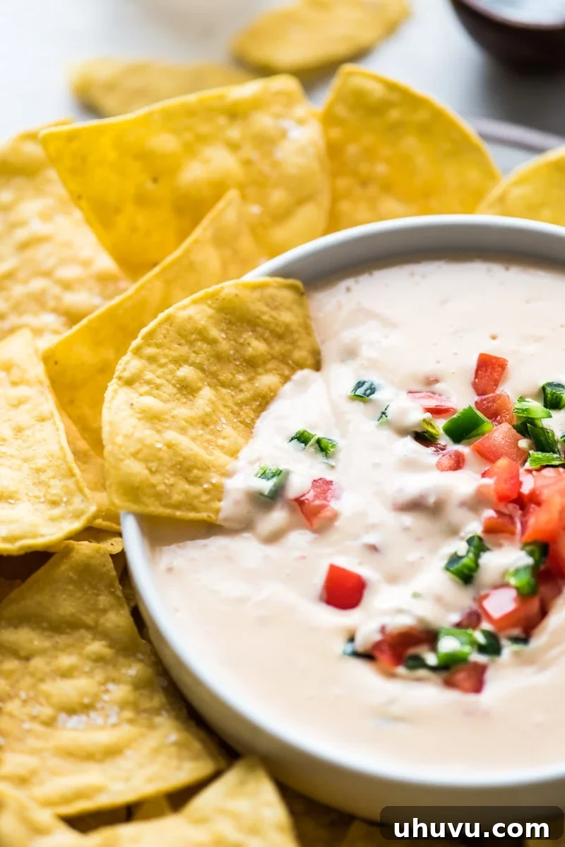 Quick Creamy Queso 7 A tortilla chip generously dipped into the rich, creamy Mexican queso, showcasing its perfect texture and readiness to eat.