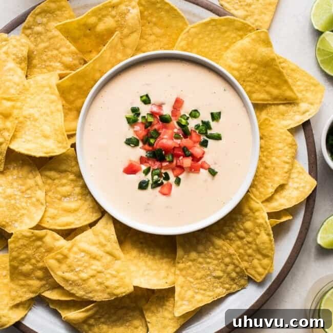 Bowl of queso dip surrounded by tortilla chips.