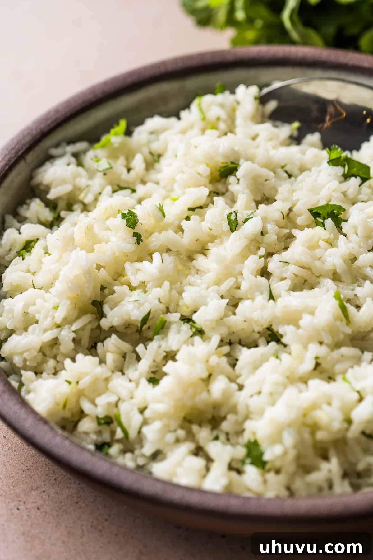 Cilantro Lime Rice Perfection 9 Cilantro lime rice served on a white plate, ready to be enjoyed.