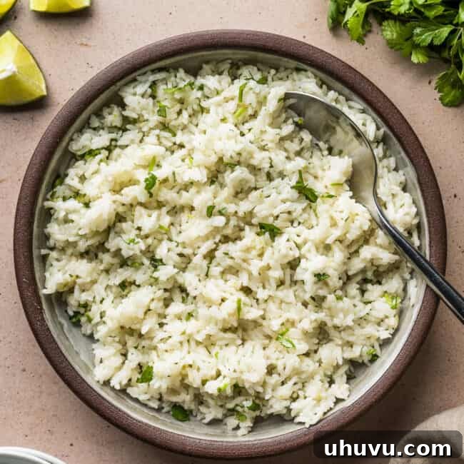 Cilantro lime rice in a serving bowl garnished with chopped cilantro.