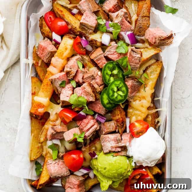 Carne Asada Fries