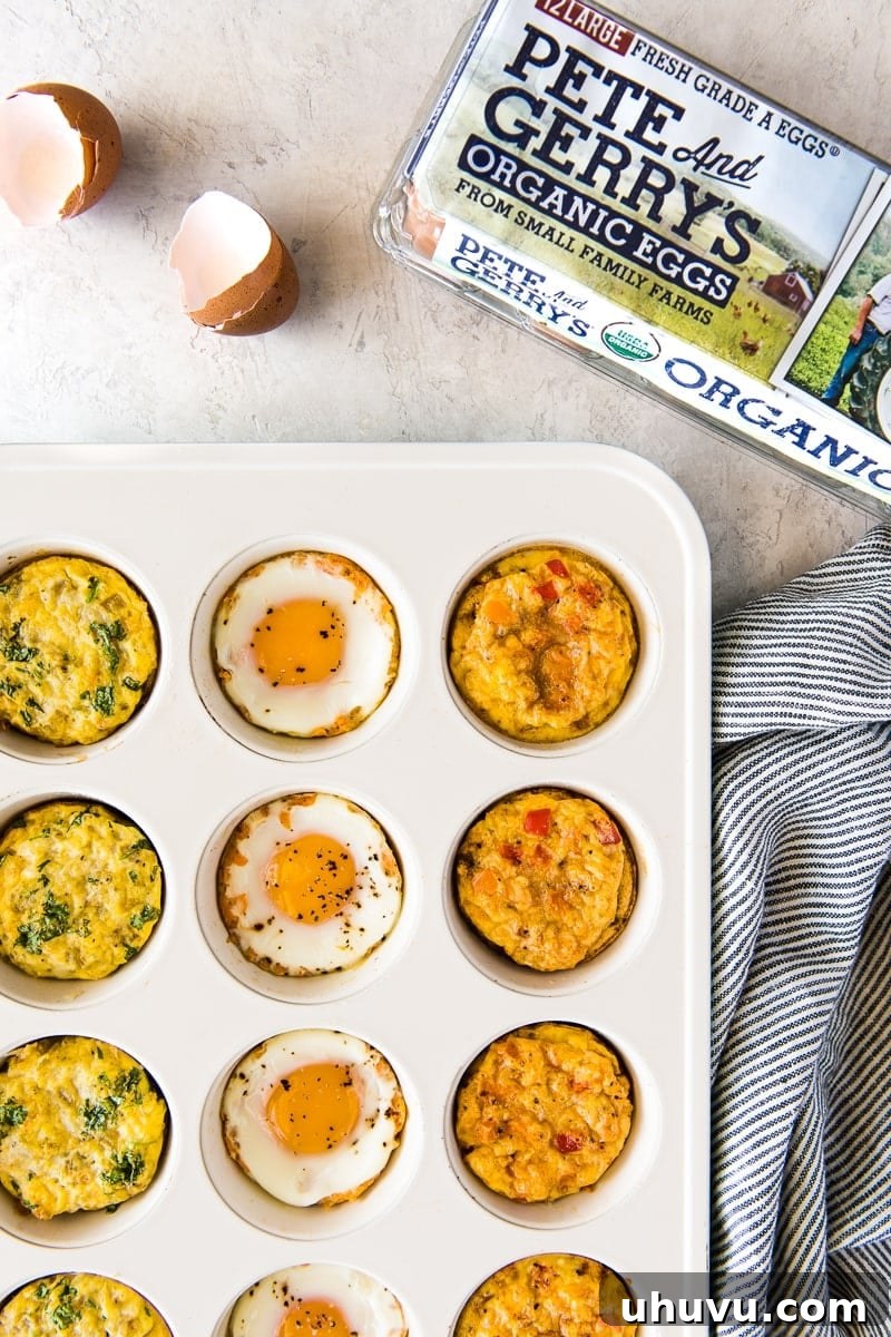 Effortless Breakfast Egg Cups: Three Delicious Variations 7 A variety of protein-packed Breakfast Egg Muffins: chipotle sweet potato, verde, and fajita flavors for exciting meal prep.