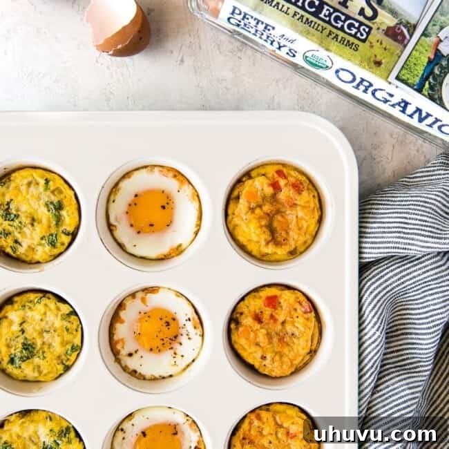 These protein-packed Breakfast Egg Cups make meal prepping and eating on-the-go exciting with 3 different flavors - chipotle sweet potato, verde and fajita! In partnership with Pete and Gerry's Organic Eggs.