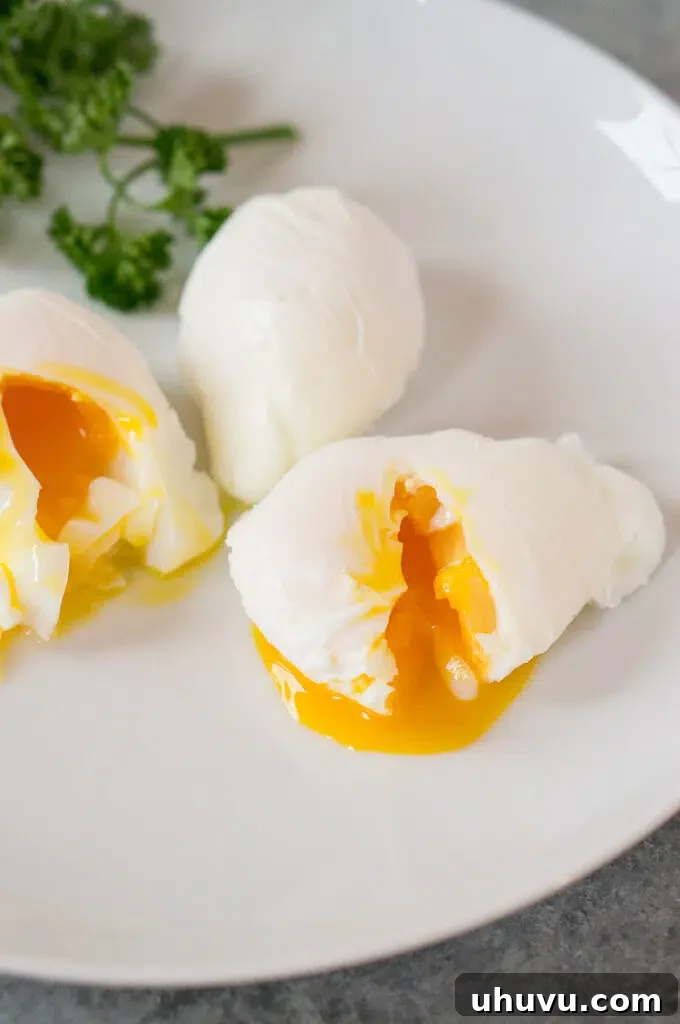 chef carefully lowering an egg into simmering water for poaching