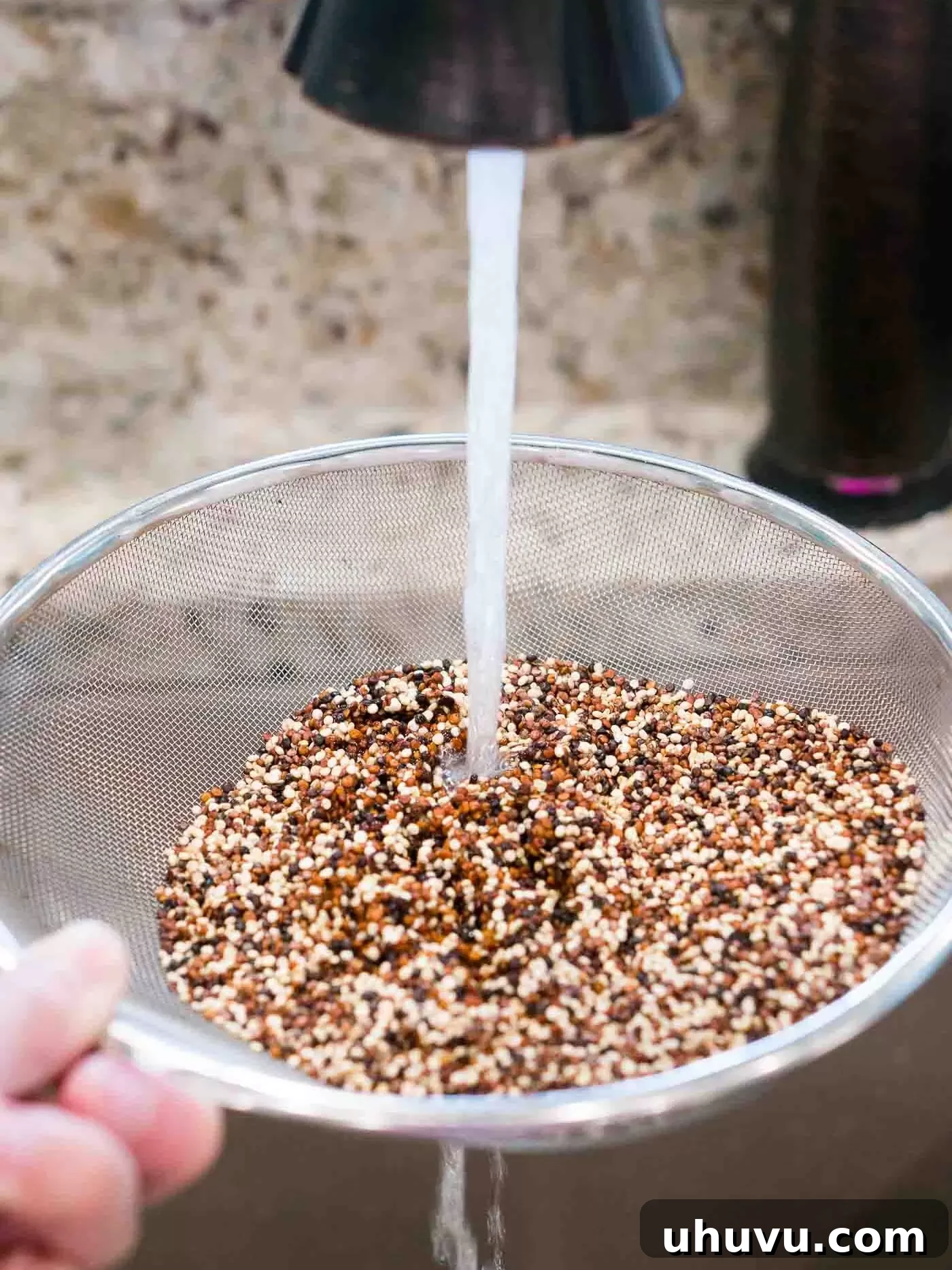 Fluffy Quinoa Every Time 4 Rinsing quinoa thoroughly under cold running water in a fine mesh sieve to remove saponins