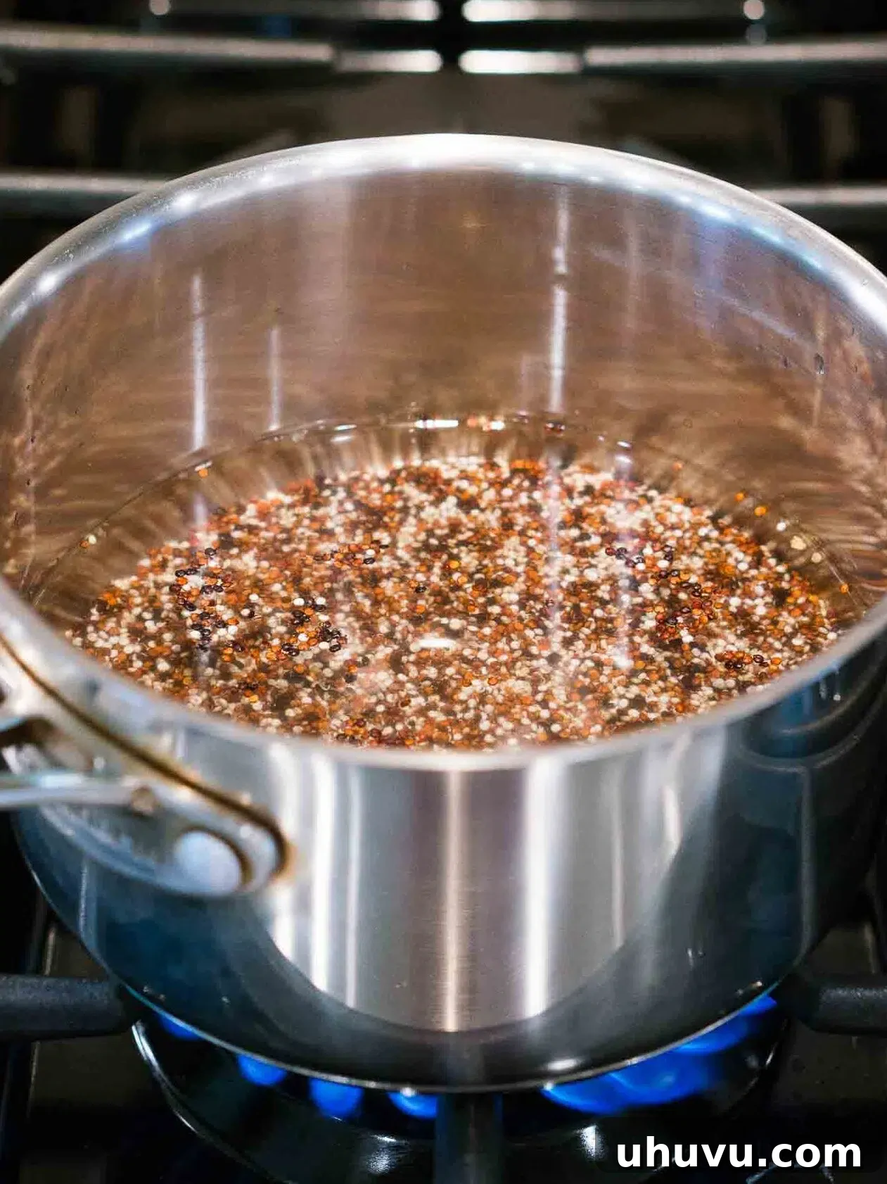 Rinsed quinoa and water combined in a pot, about to be brought to a boil