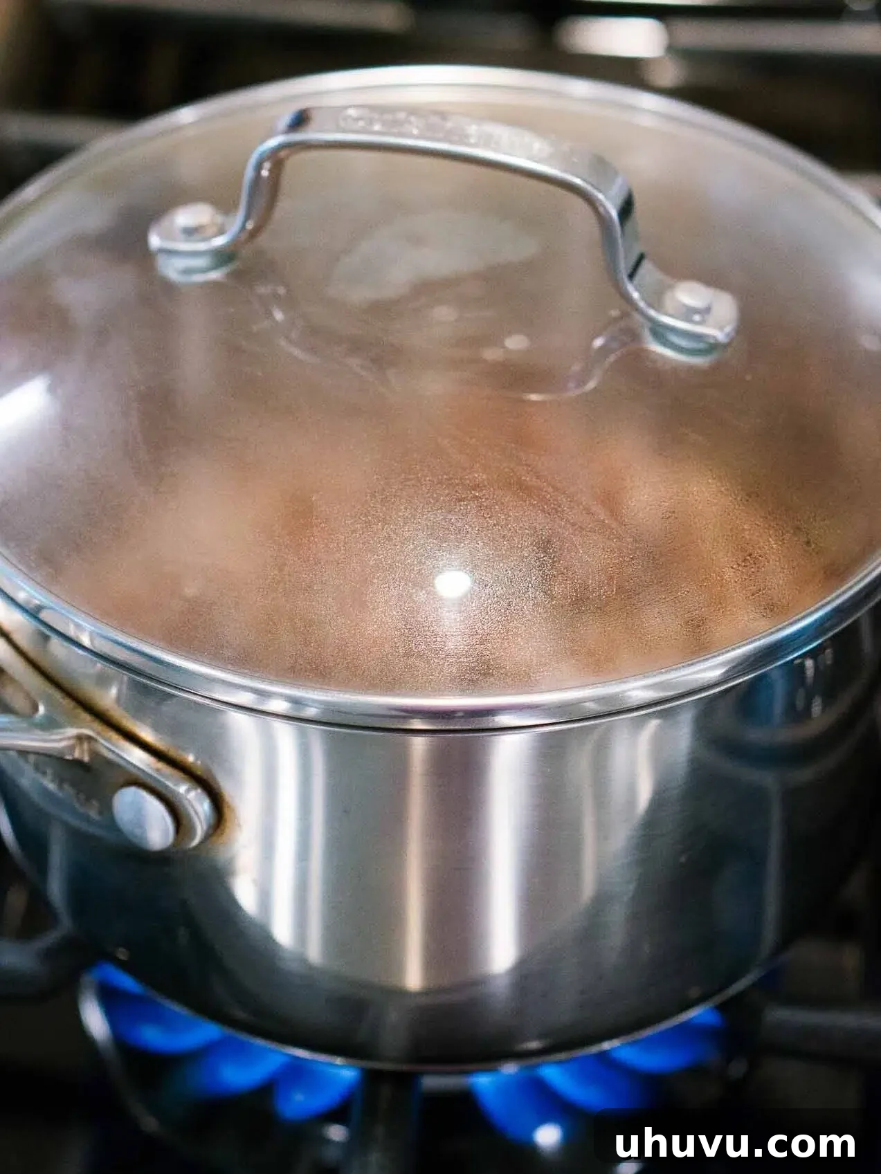 Quinoa simmering gently on the cooktop with a lid, absorbing the cooking liquid