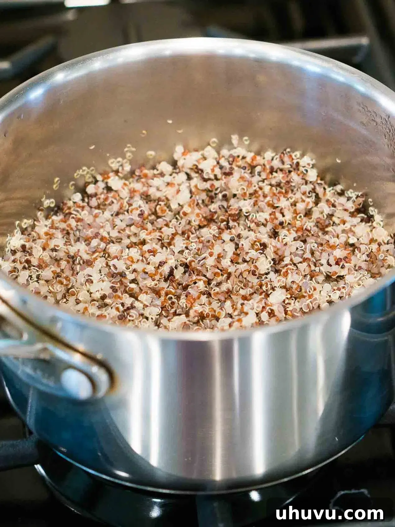 Perfectly cooked quinoa in a pot after resting, ready to be fluffed