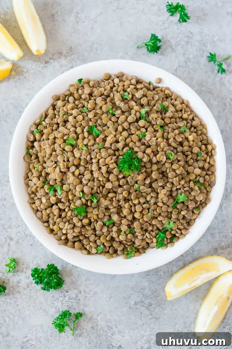 The Secret to Perfect Lentils 2 how to cook lentils on the stovetop