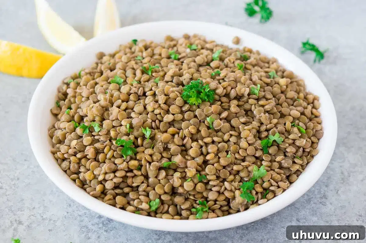 The Secret to Perfect Lentils 3 cooked lentils in a white bowl
