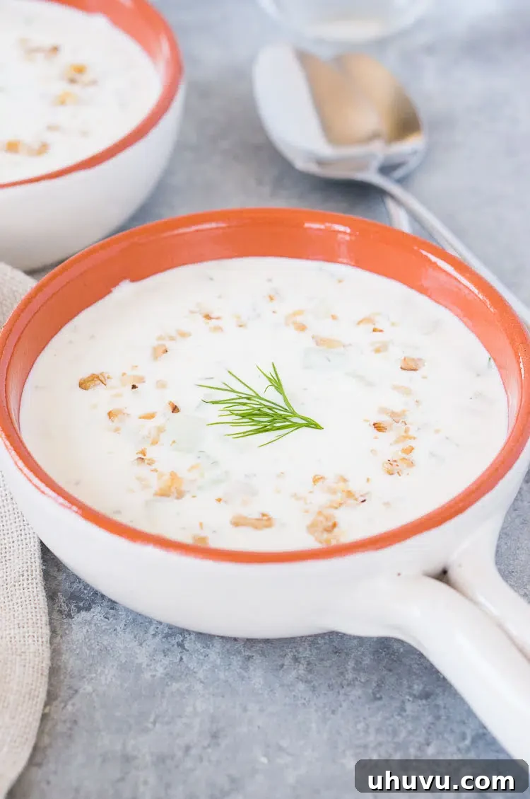 Tarator - Bulgarian cold cucumber yogurt soup in a white bowl, garnished with dill and walnuts, perfect for a refreshing summer meal.