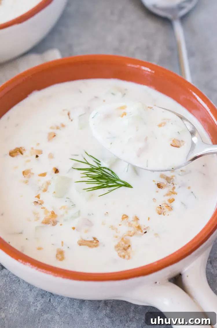 Close up shot of Tarator, Bulgarian cold cucumber soup, in a bowl with a spoon, highlighting its creamy texture and fresh ingredients.