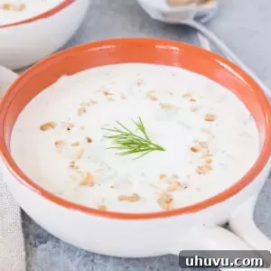 tarator - Bulgarian cold cucumber yogurt soup in a white bowl