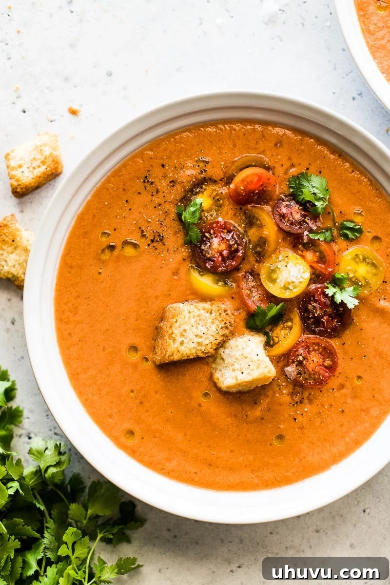 Quick and Refreshing Gazpacho 2 A beautifully presented bowl of vibrant red gazpacho, garnished with a swirl of olive oil, halved cherry tomatoes, and crunchy croutons, set against a clean white background.