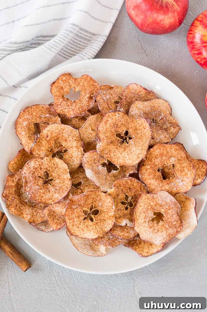 Golden Crisp Apple Snacks 2 Crispy cinnamon apple chips in a white plate, ready to be enjoyed.