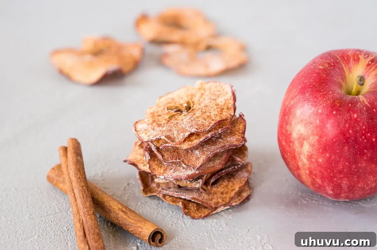 Neatly stacked apple chips alongside a fresh apple, highlighting their appealing texture.