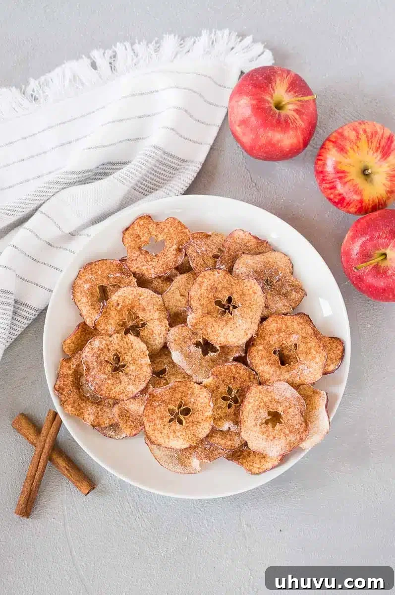 A vibrant display of baked apple chips on a white plate, complemented by fresh red apples.