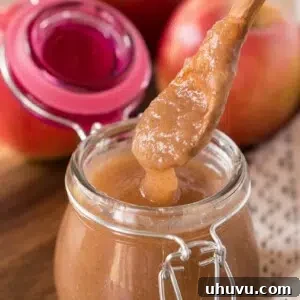 instant pot applesauce