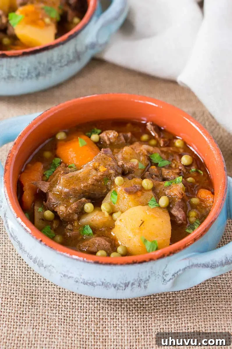 Ultimate Instant Pot Beef Stew 2 instant pot beef stew in a clay bowl