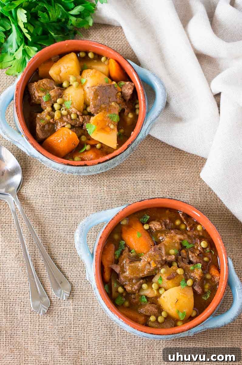 Ultimate Instant Pot Beef Stew 3 pressure cooker beef stew in two clay bowls