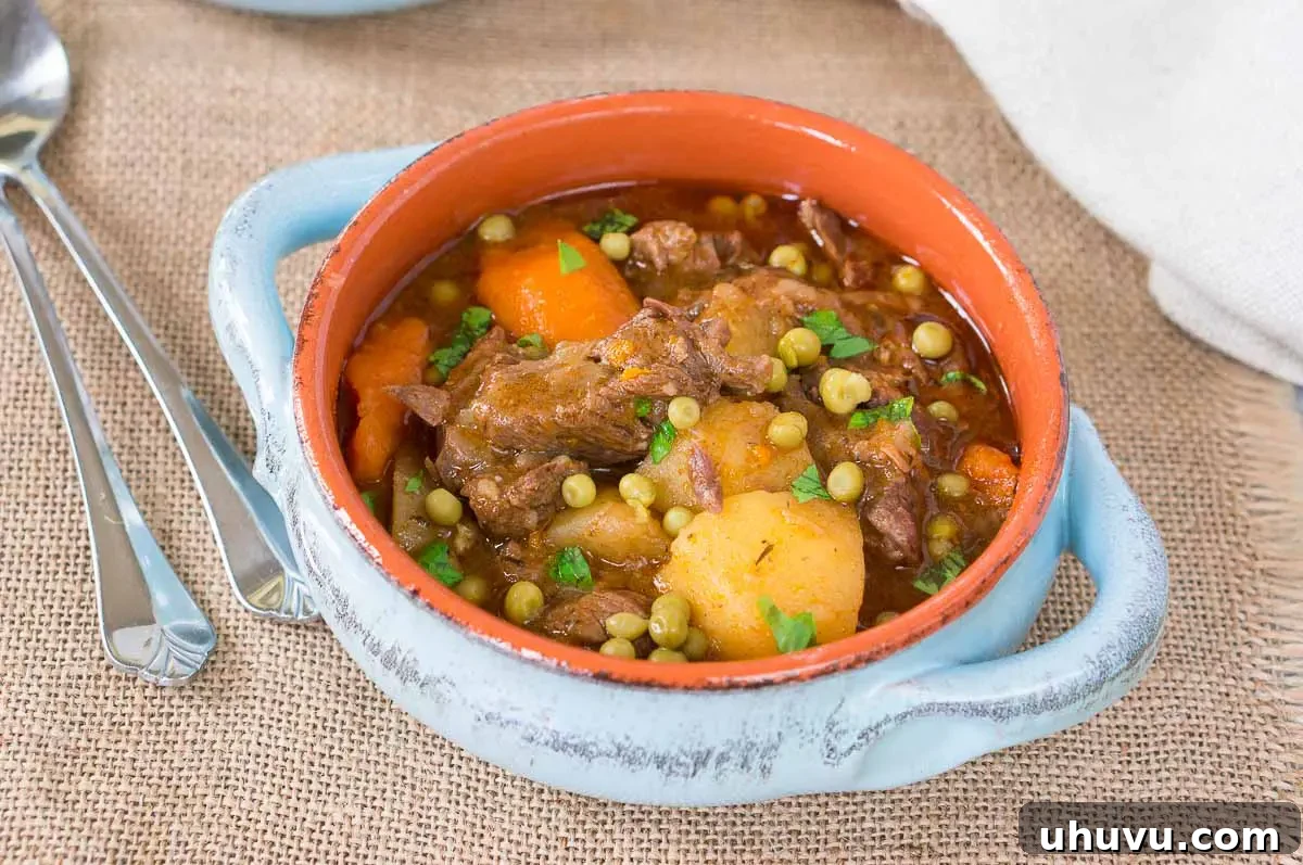 Ultimate Instant Pot Beef Stew 8 beef stew in blue clay bowl