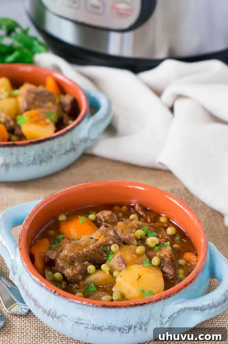 Ultimate Instant Pot Beef Stew 9 beef stew made in pressure cooker served in bowls