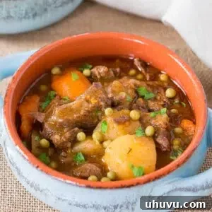 instant pot beef stew in a clay bowl
