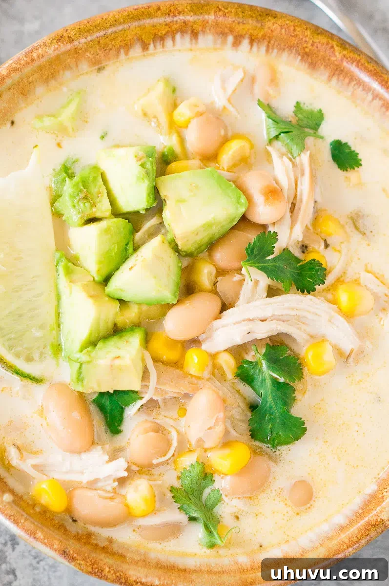 chicken and bean chili soup