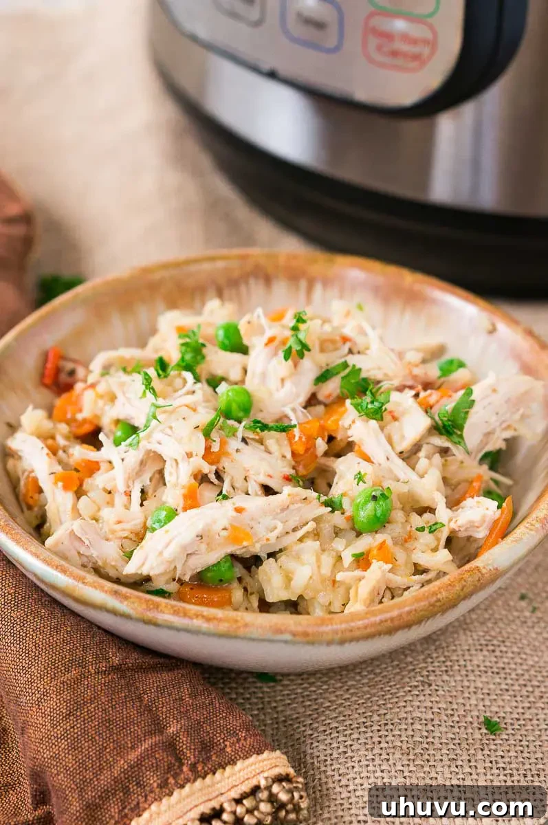 instant pot chicken and rice served in a bowl, garnished with fresh parsley