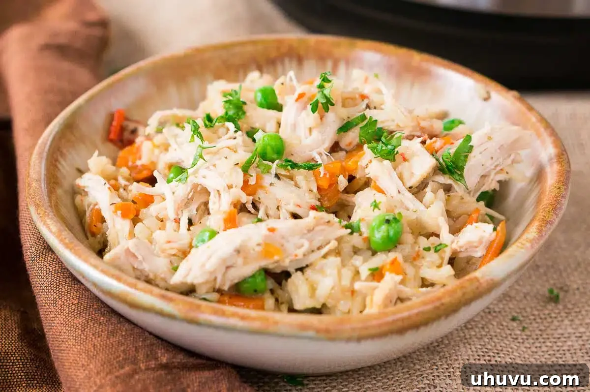 close-up of Instant Pot chicken and rice cooking in the pressure cooker