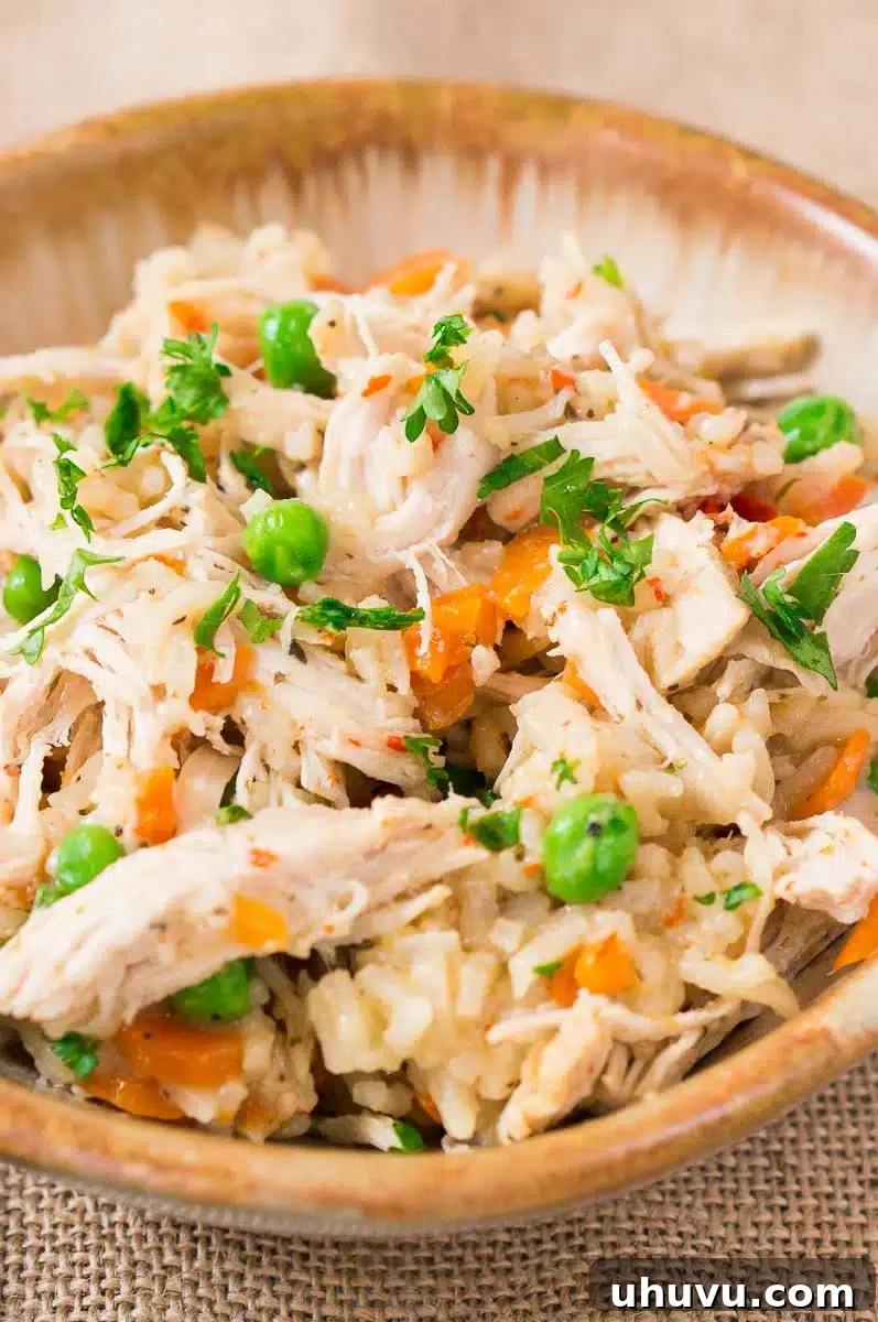 close up of chicken and rice in a clay bowl, garnished with parsley