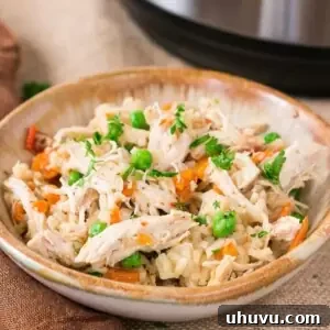 instant pot chicken and rice served in a bowl