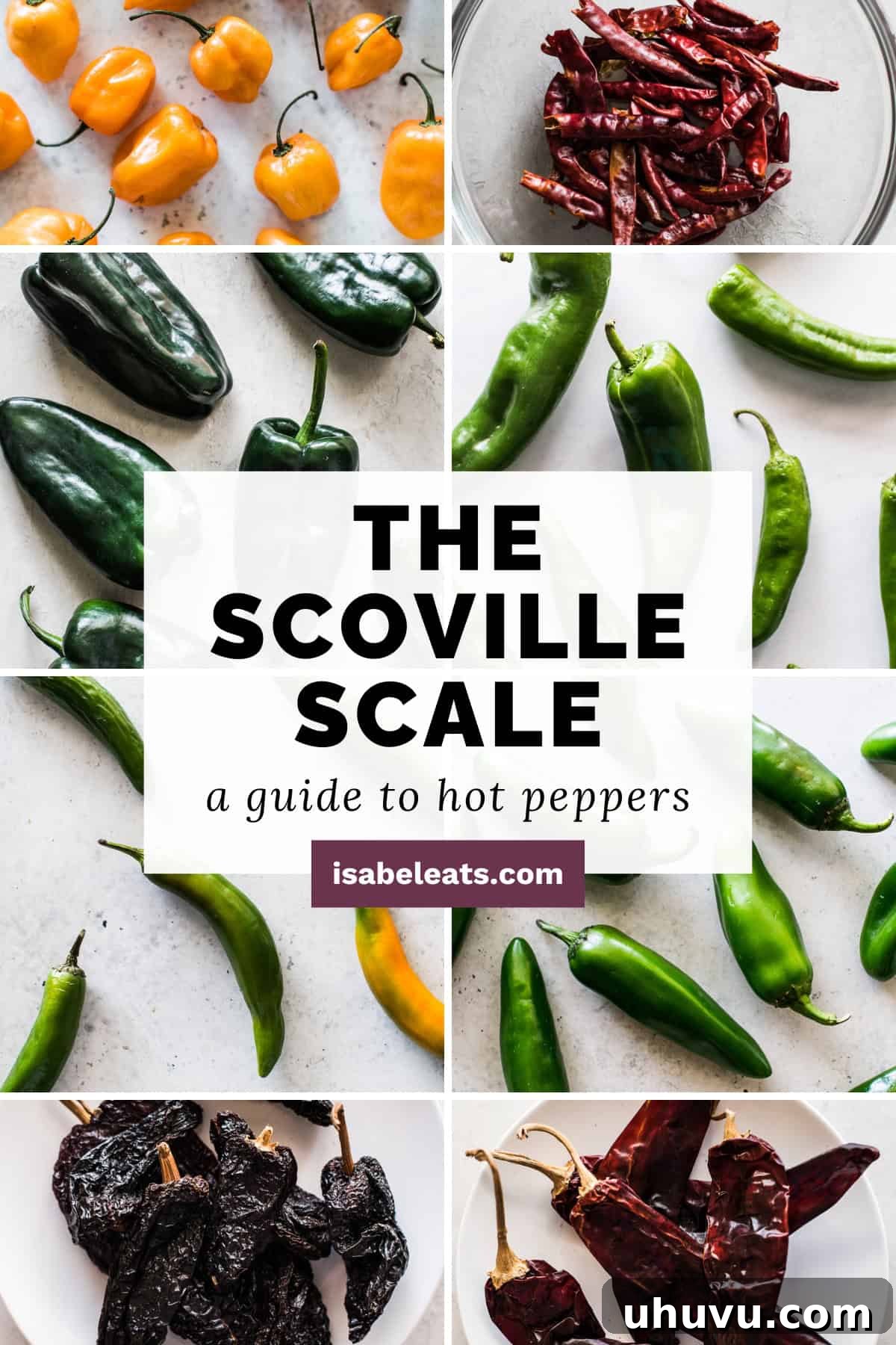 The Scoville Scale Decoding the Spice Spectrum 2 A vibrant infographic depicting various chili peppers and their Scoville Heat Units, a spicy food lover's guide to understanding pepper heat levels.