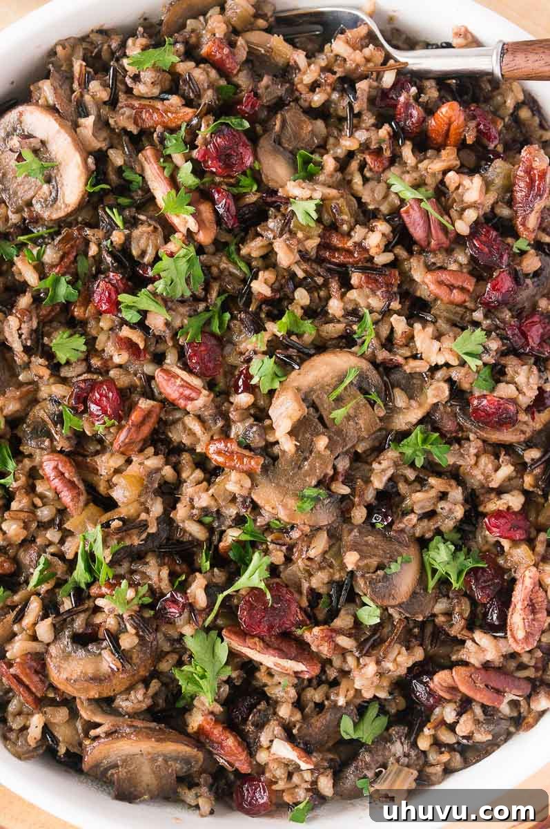 Earthy Wild Rice and Mushroom Medley 3 close up shot of wild rice with mushrooms recipe