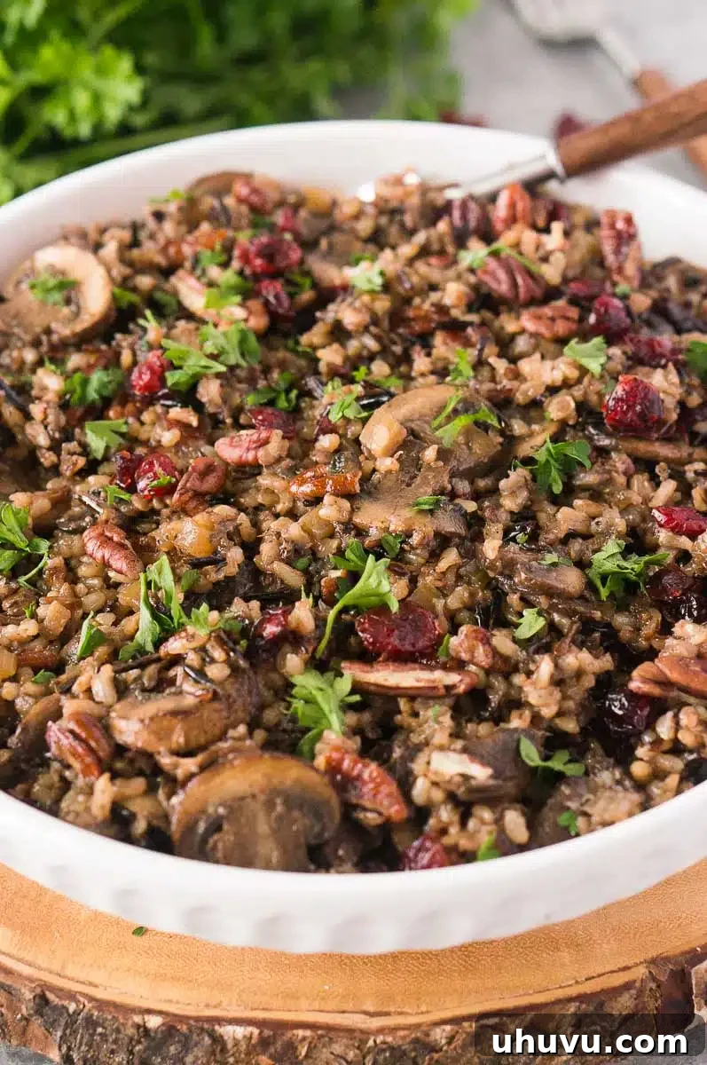 Earthy Wild Rice and Mushroom Medley 8 rice and mushroom pilaf
