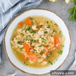 Close up image of a bowl of turkey and rice soup, perfect for using Thanksgiving leftovers