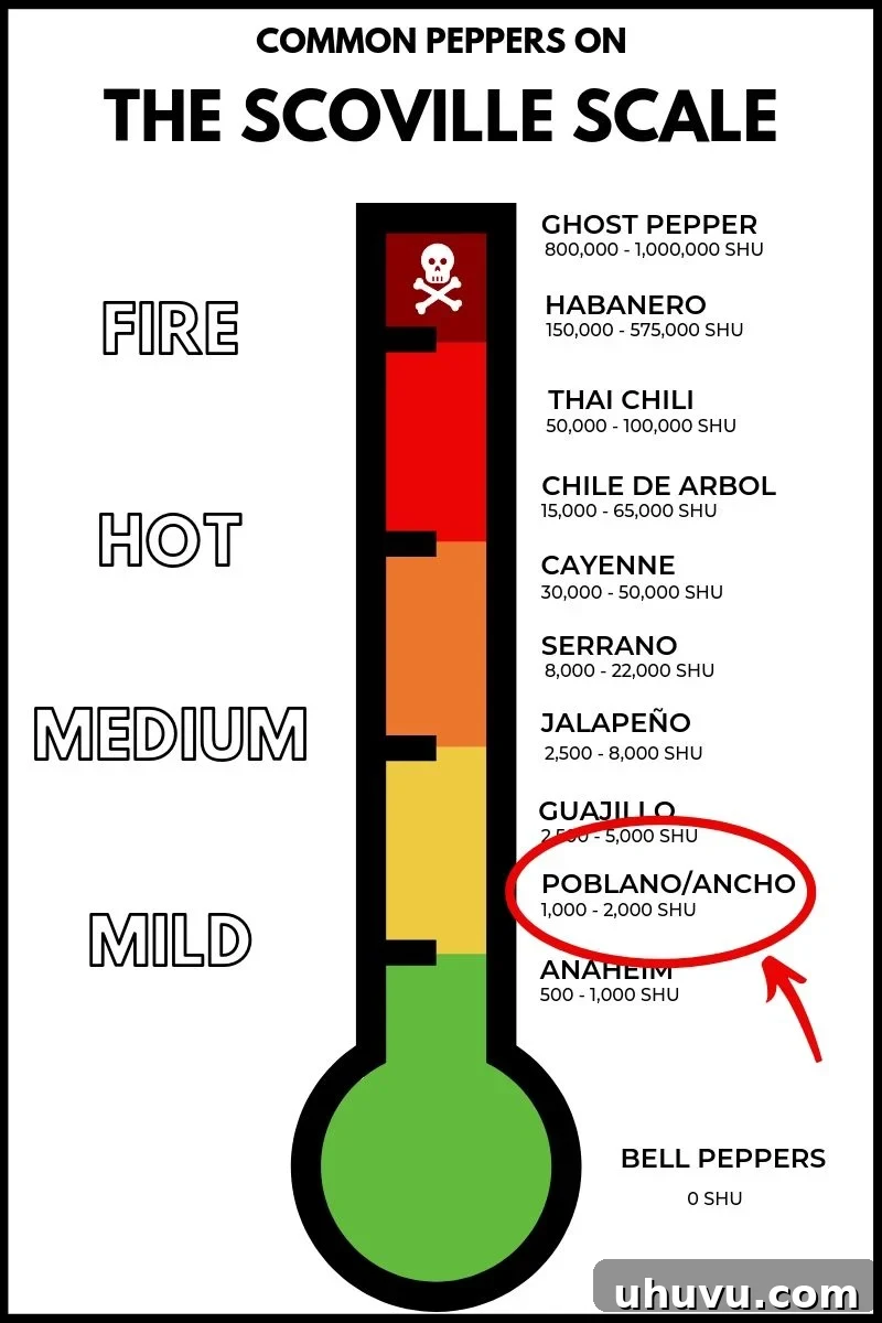 Poblano Pepper on the Scoville Scale