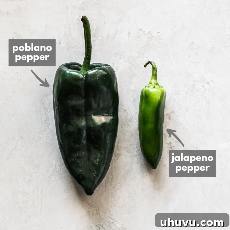 A poblano pepper next to a jalapeno pepper