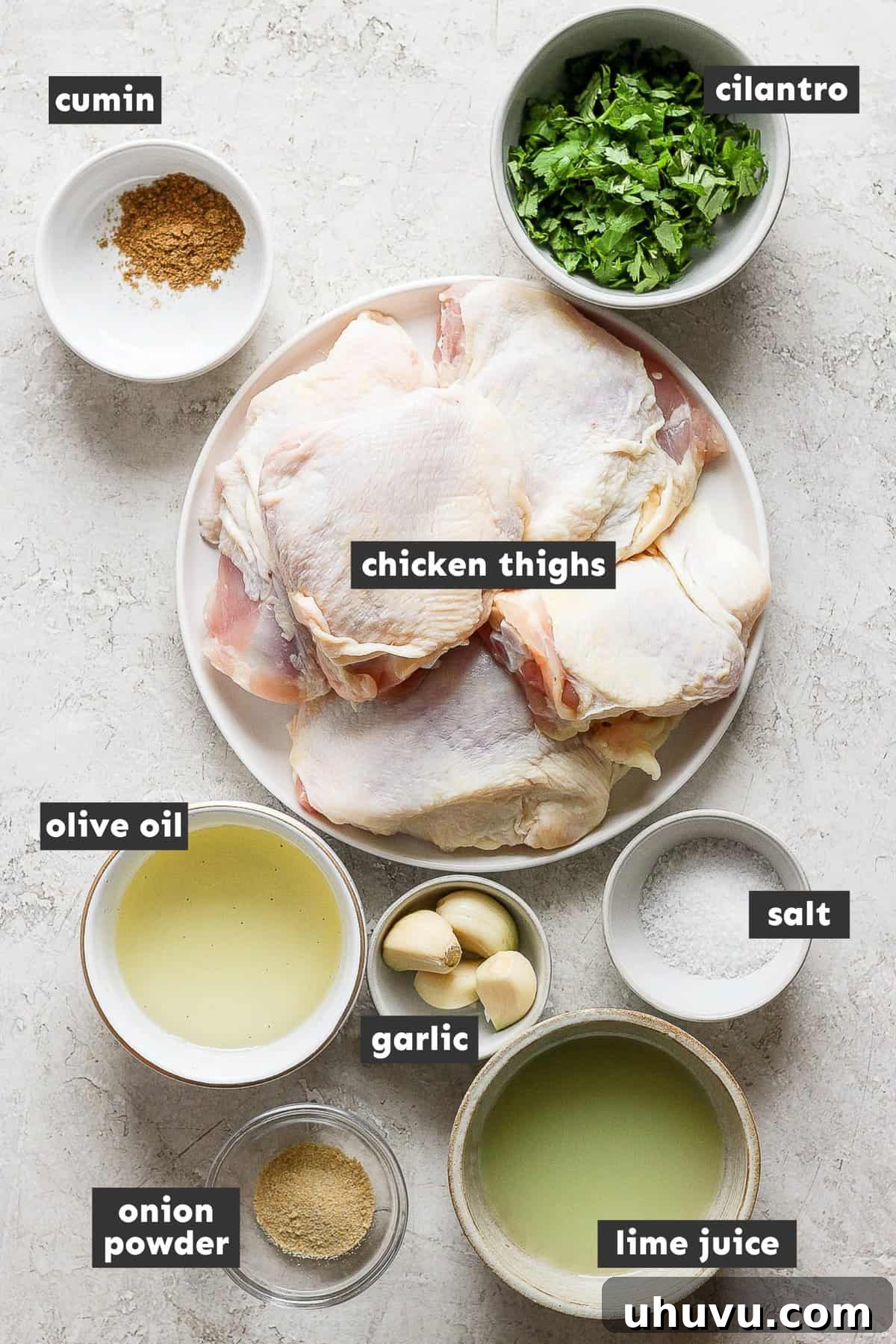 Zesty Cilantro Lime Chicken 3 A collection of fresh ingredients for cilantro lime chicken, including chicken thighs, cilantro, limes, garlic, and spices, laid out on a kitchen counter.