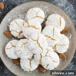 Classic Italian Amaretti 11 Amaretti cookies on a plate with raw almonds, showcasing their texture.