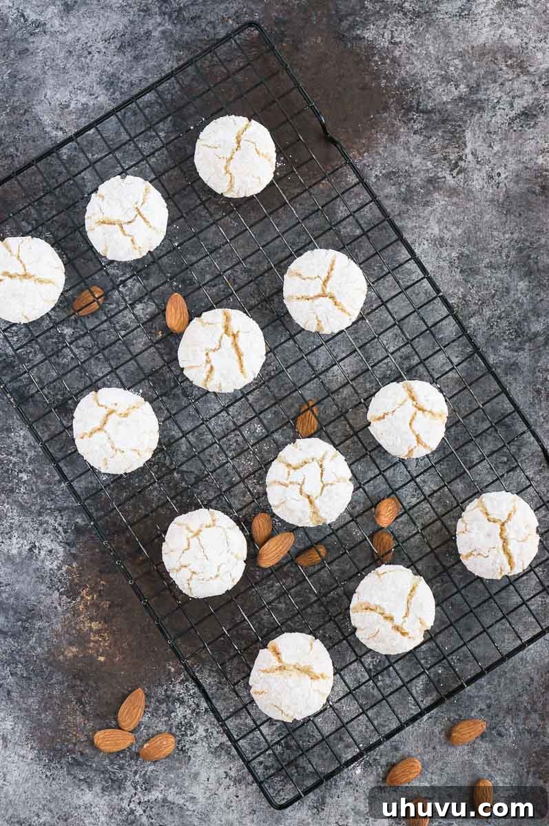 Classic Italian Amaretti 8 A plate of golden gluten-free amaretti cookies cooling on a wire rack.