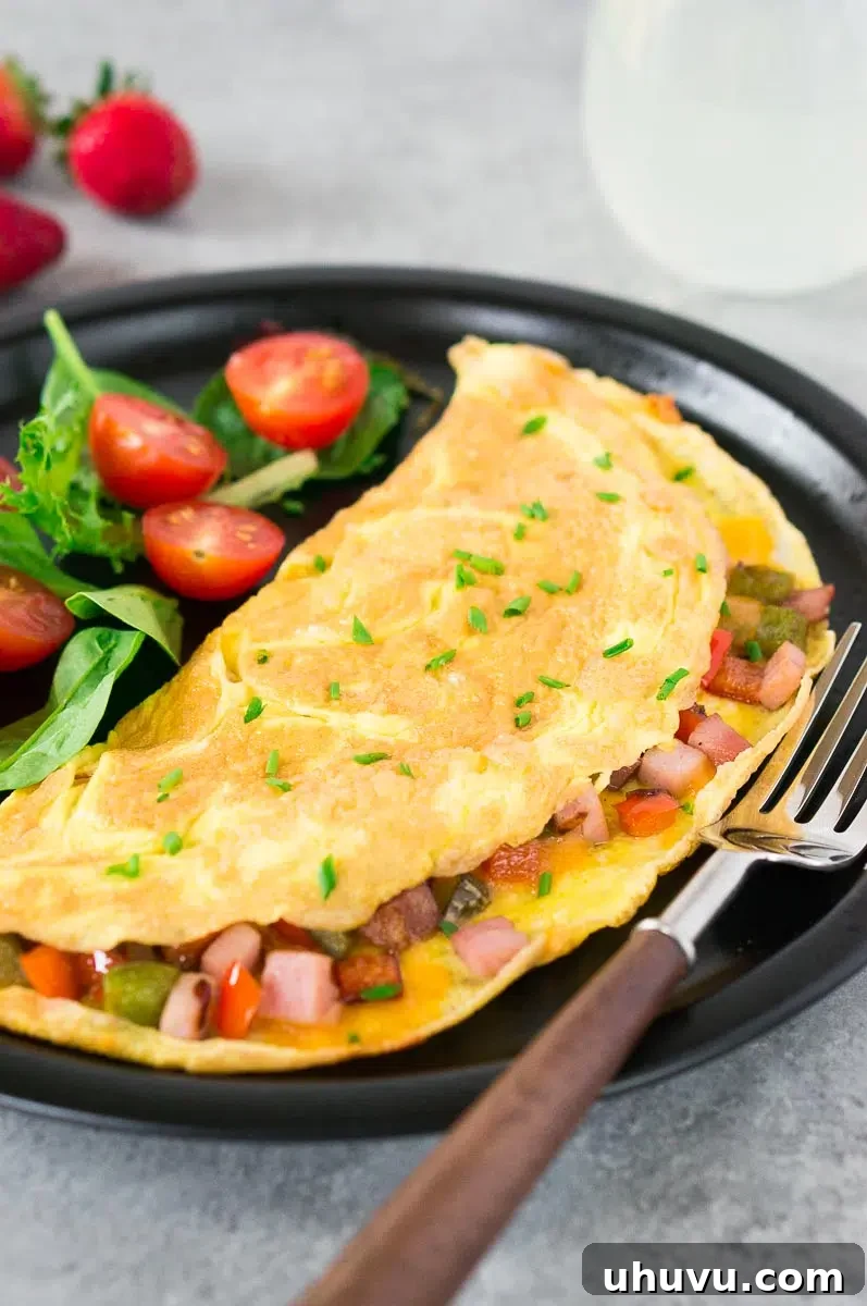 best recipe for omelet served on a plate