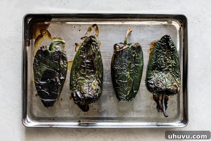 Several roasted poblano peppers with blackened and blistered skins resting on a foil-lined baking sheet.