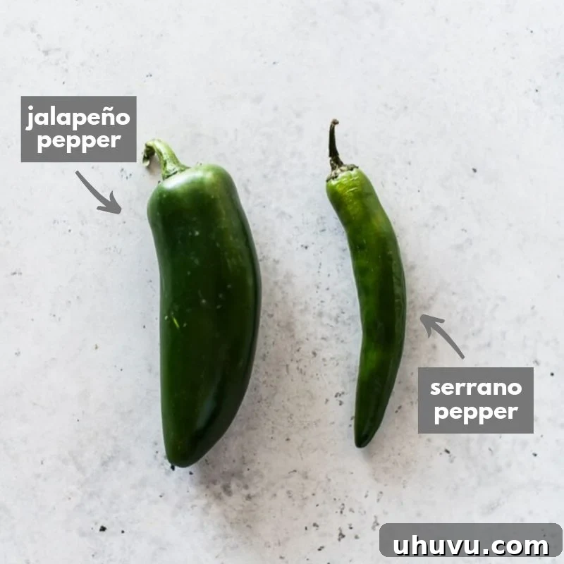 Decoding Serrano Peppers 4 A clear side-by-side comparison photograph of a Serrano pepper next to a Jalapeno pepper, highlighting their visual differences in length, width, and overall shape.