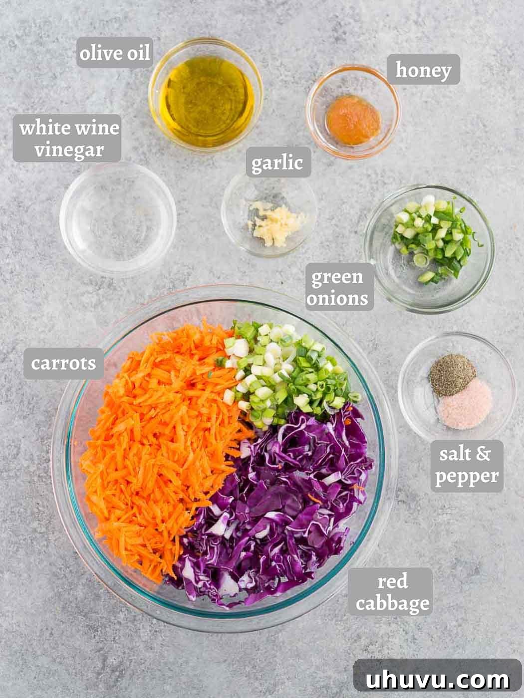 Crimson Cabbage Crunch 4 A flat lay photograph showcasing all the fresh ingredients needed for red cabbage slaw: red cabbage, shredded carrots, green onions, olive oil, apple cider vinegar, honey, minced garlic, and salt and pepper.