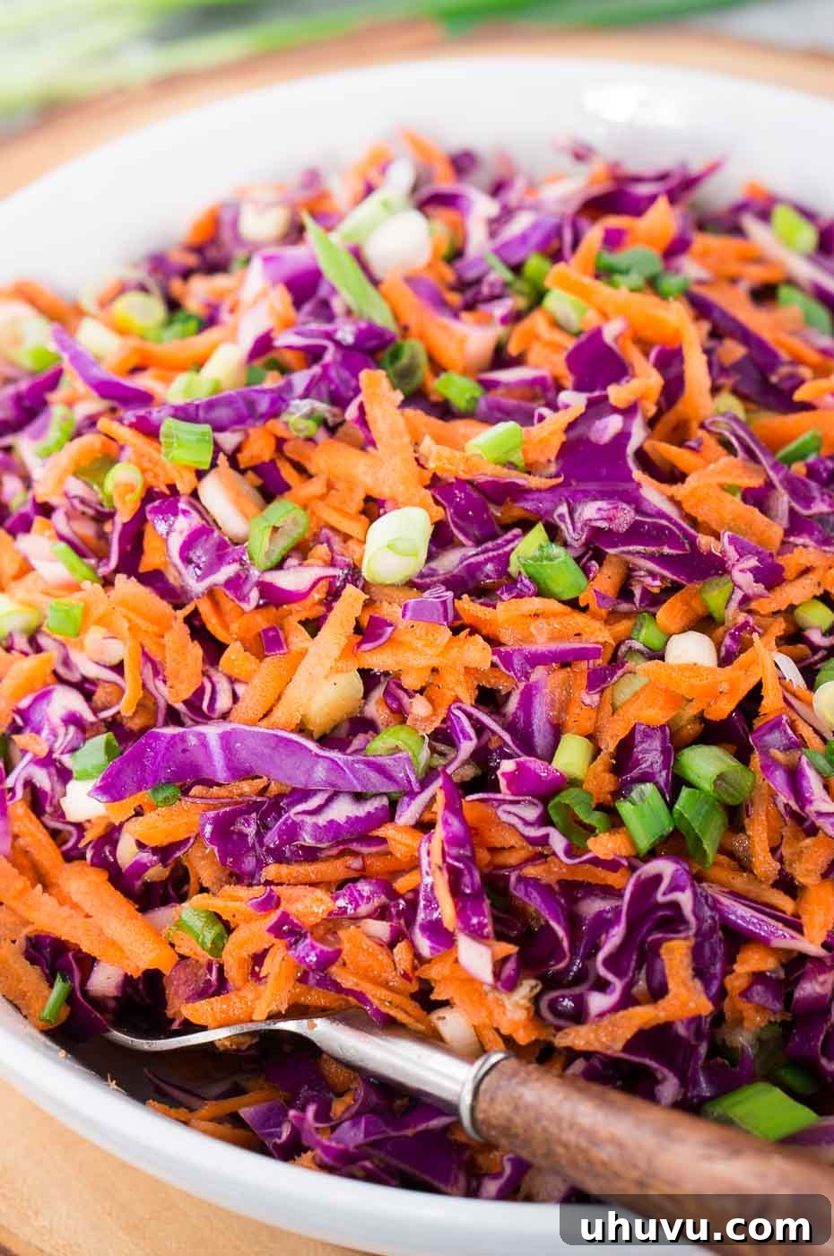 Crimson Cabbage Crunch 6 A close-up view of crunchy red cabbage and carrot coleslaw in a bowl, with a fork poised to take a bite, highlighting the vibrant texture.