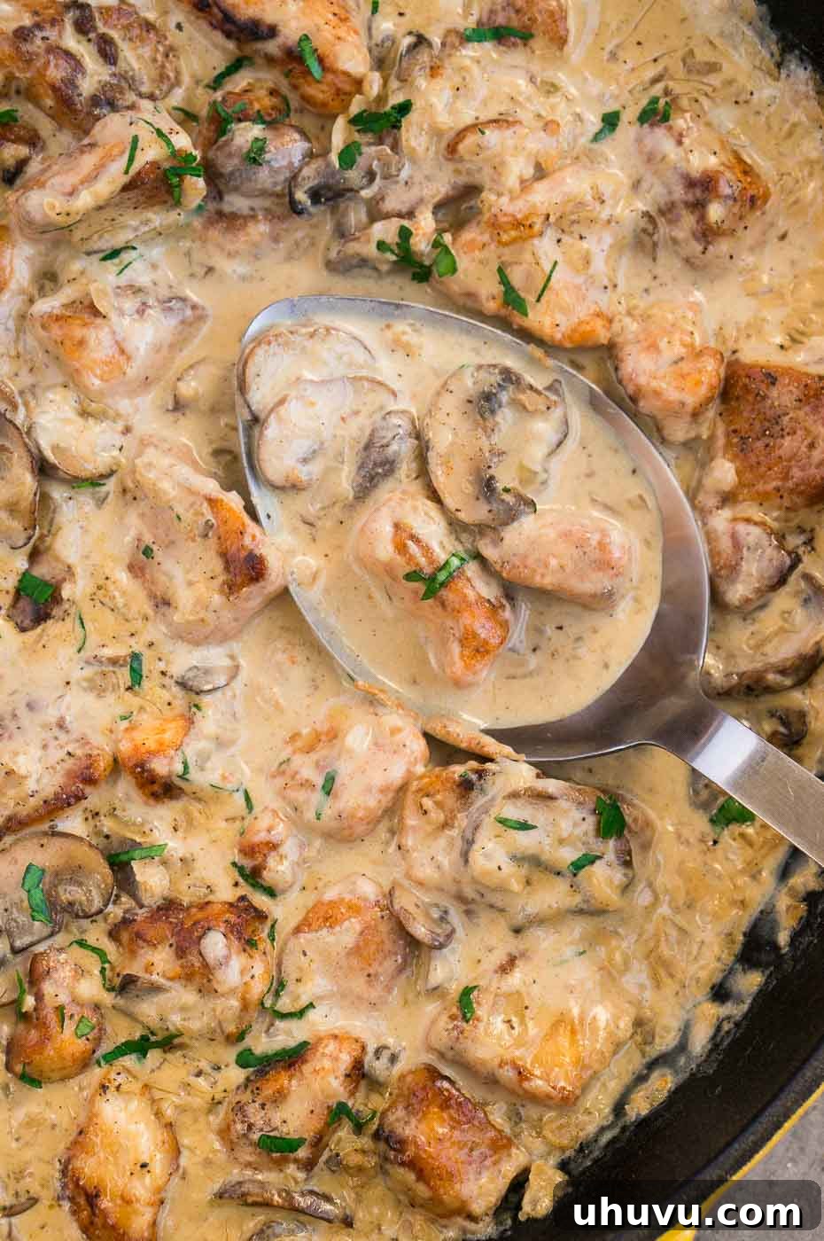 Creamy Chicken Stroganoff 3 Close-up shot of a rich, creamy mushroom sauce with tender chicken pieces simmering in a skillet, ready to be served.