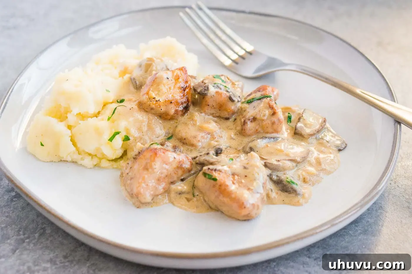 Another perspective of the plated creamy mushroom chicken stroganoff, showing its inviting presentation and rich texture.